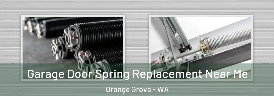 Garage Door Spring Replacement Near Me Orange Grove - WA