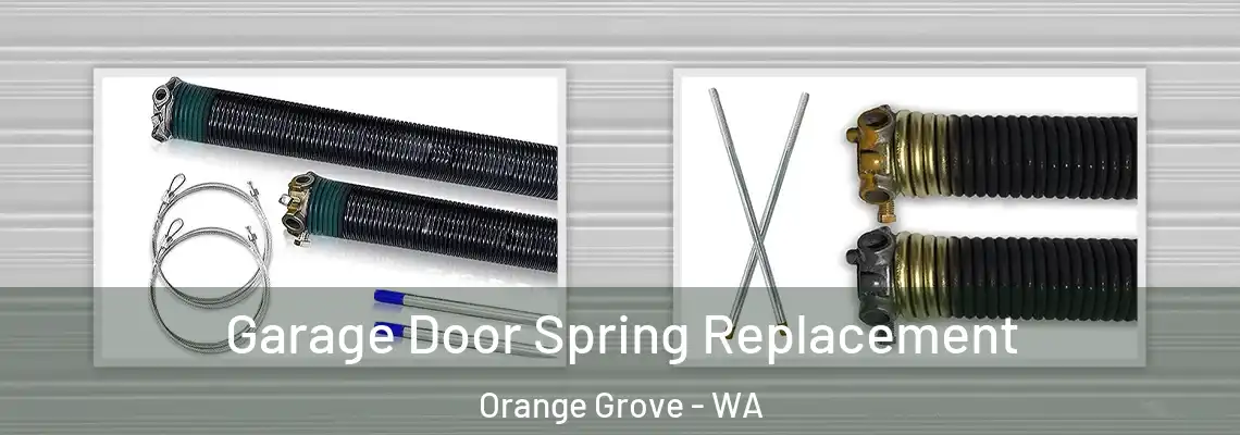 Garage Door Spring Replacement Orange Grove - WA