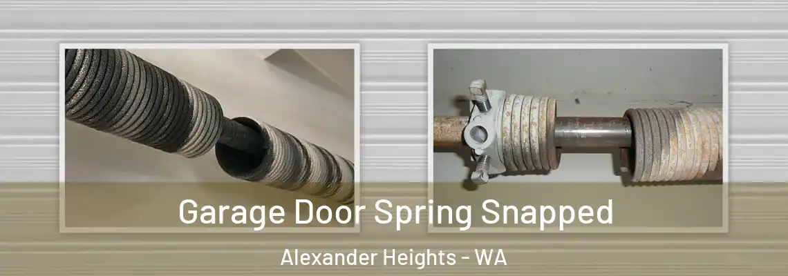 Garage Door Spring Snapped Alexander Heights - WA