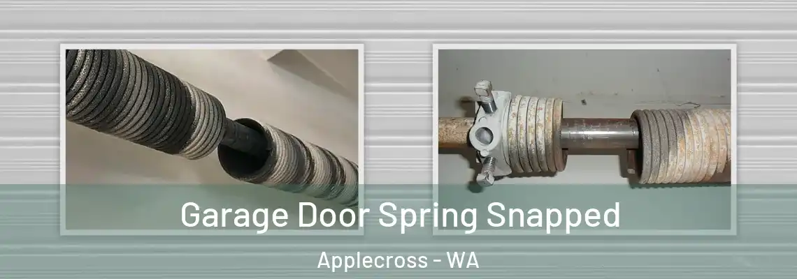 Garage Door Spring Snapped Applecross - WA