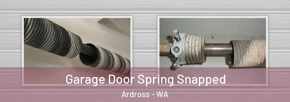 Garage Door Spring Snapped Ardross - WA