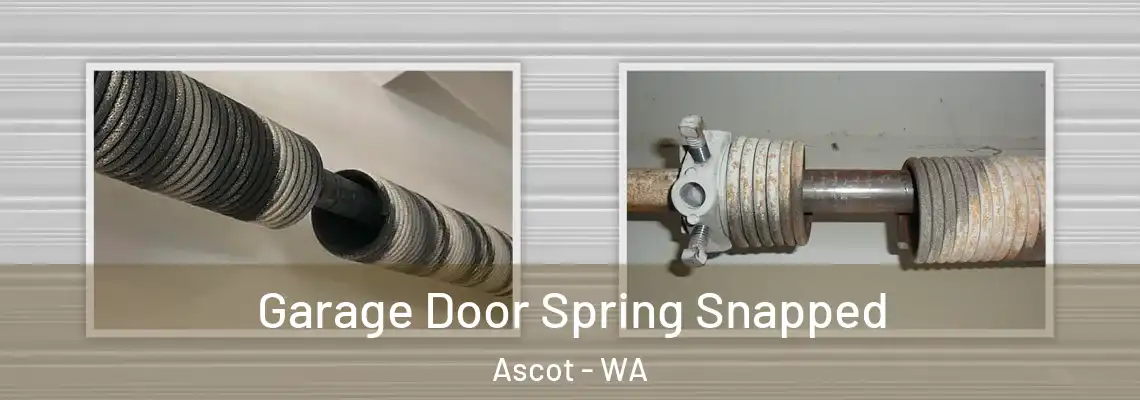 Garage Door Spring Snapped Ascot - WA