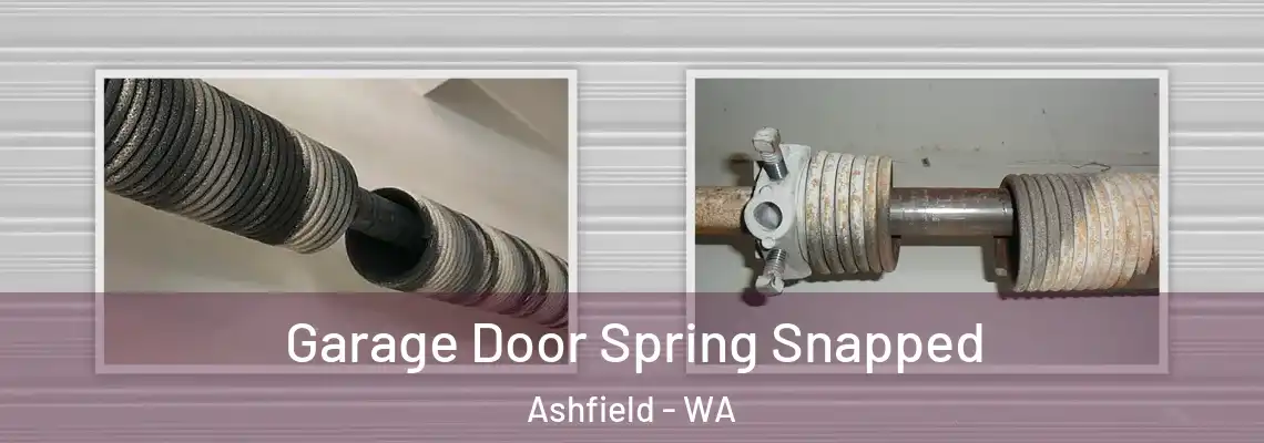 Garage Door Spring Snapped Ashfield - WA