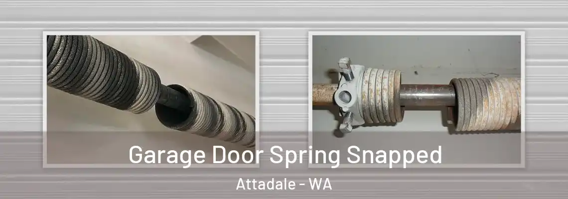 Garage Door Spring Snapped Attadale - WA