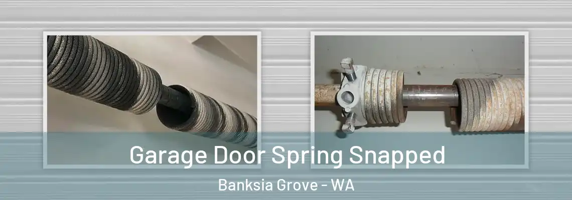  Garage Door Spring Snapped Banksia Grove - WA