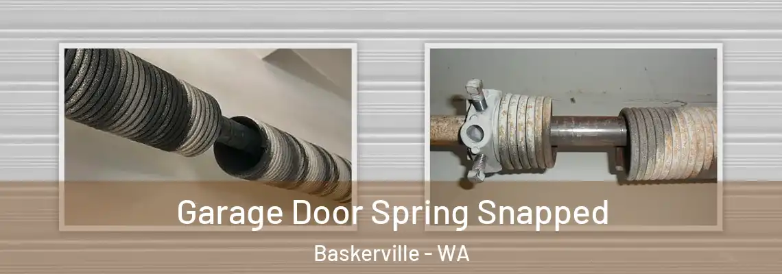 Garage Door Spring Snapped Baskerville - WA