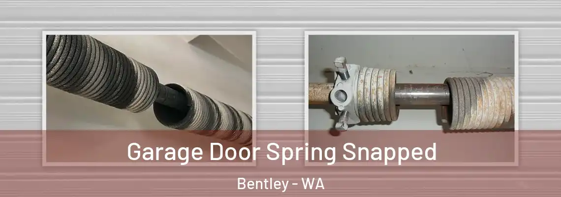 Garage Door Spring Snapped Bentley - WA