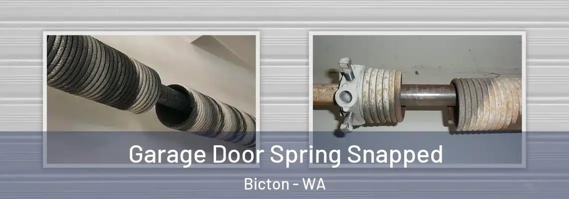 Garage Door Spring Snapped Bicton - WA