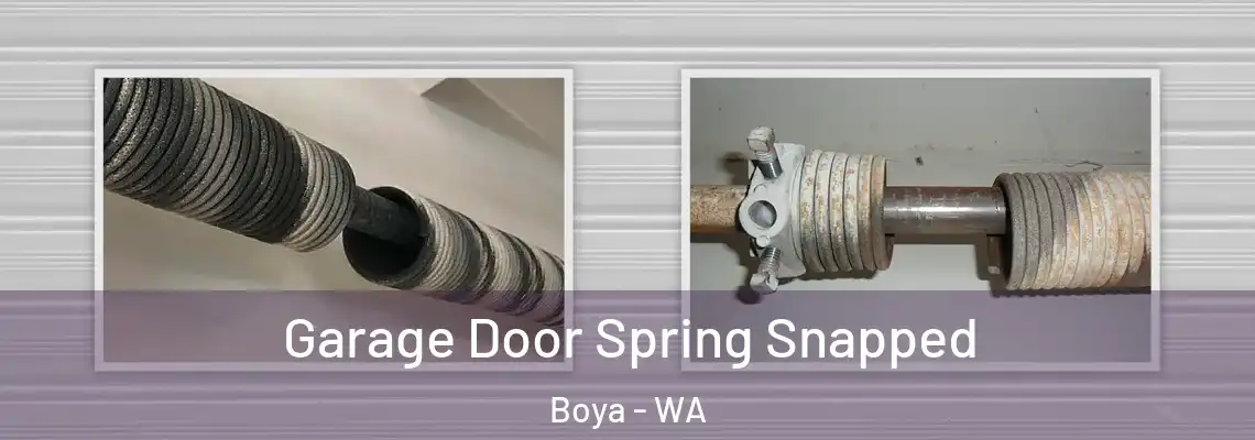  Garage Door Spring Snapped Boya - WA