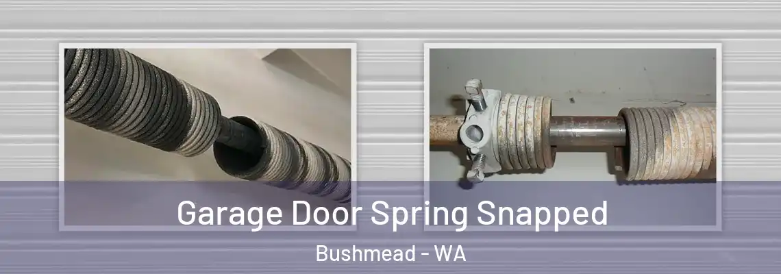 Garage Door Spring Snapped Bushmead - WA