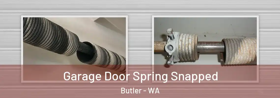 Garage Door Spring Snapped Butler - WA