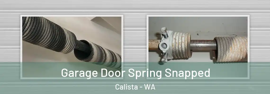 Garage Door Spring Snapped Calista - WA
