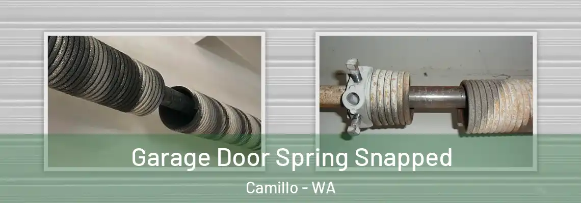 Garage Door Spring Snapped Camillo - WA
