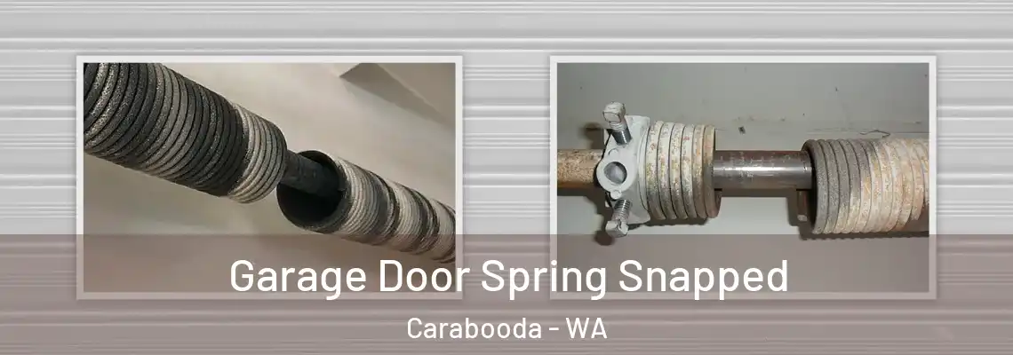 Garage Door Spring Snapped Carabooda - WA