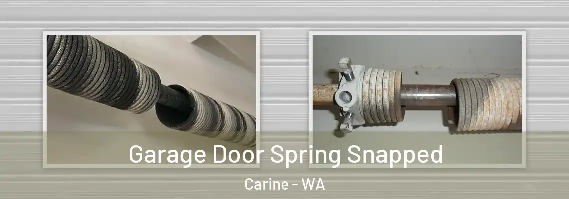 Garage Door Spring Snapped Carine - WA