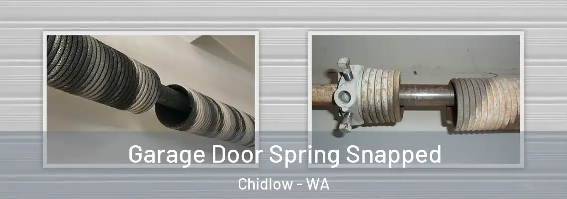 Garage Door Spring Snapped Chidlow - WA
