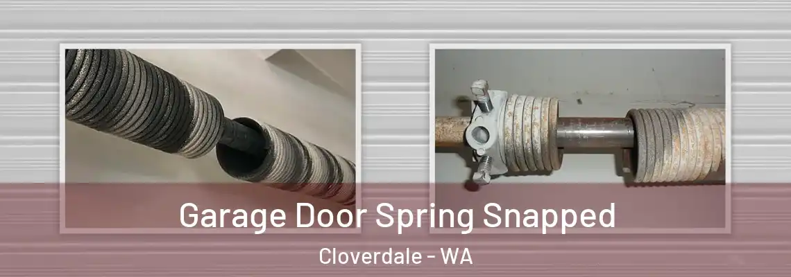 Garage Door Spring Snapped Cloverdale - WA