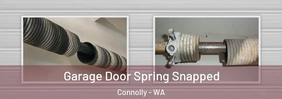 Garage Door Spring Snapped Connolly - WA