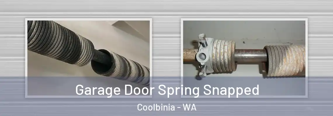 Garage Door Spring Snapped Coolbinia - WA