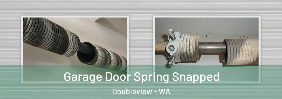 Garage Door Spring Snapped Doubleview - WA