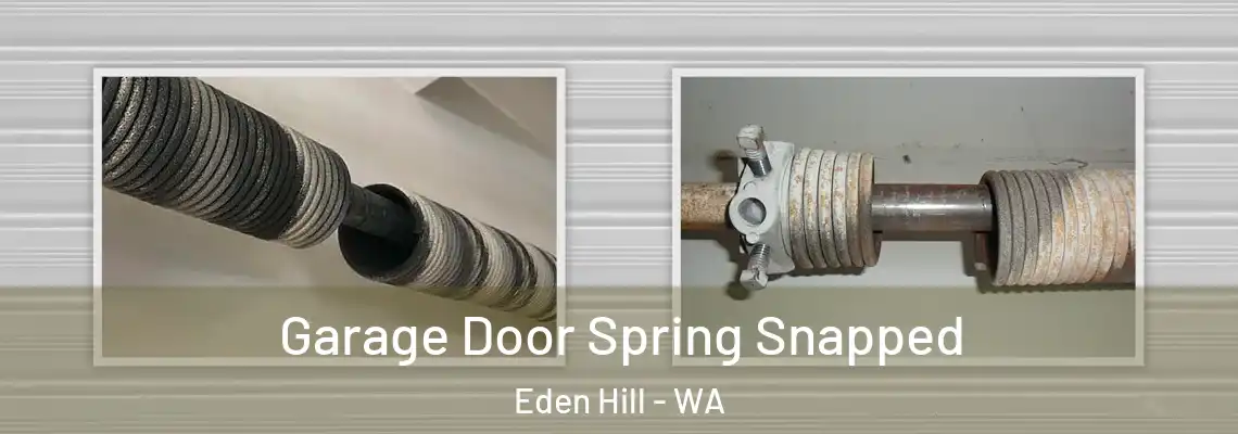 Garage Door Spring Snapped Eden Hill - WA