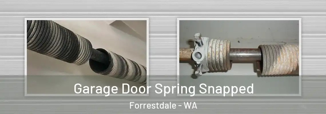 Garage Door Spring Snapped Forrestdale - WA