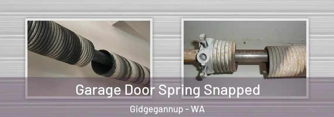 Garage Door Spring Snapped Gidgegannup - WA