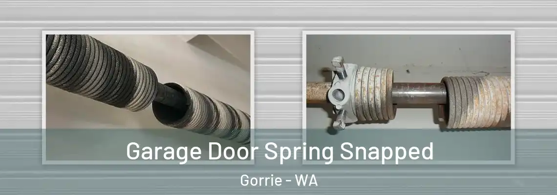 Garage Door Spring Snapped Gorrie - WA