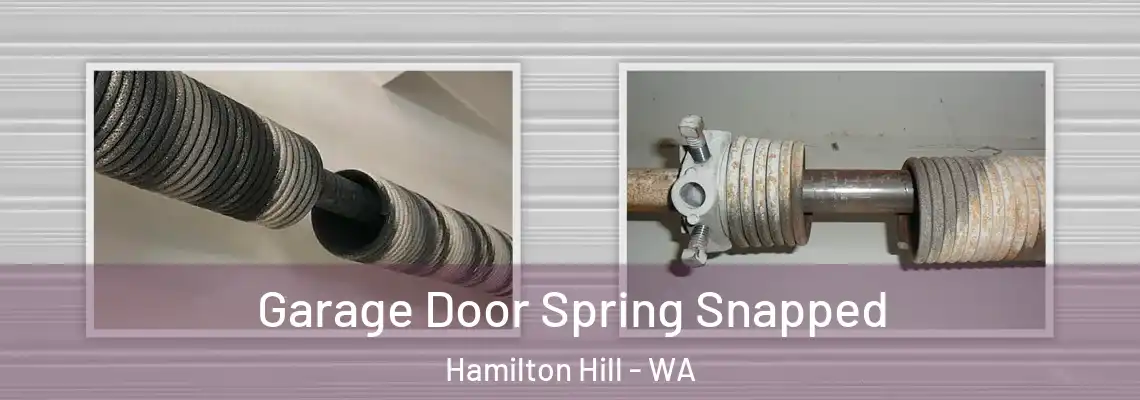 Garage Door Spring Snapped Hamilton Hill - WA