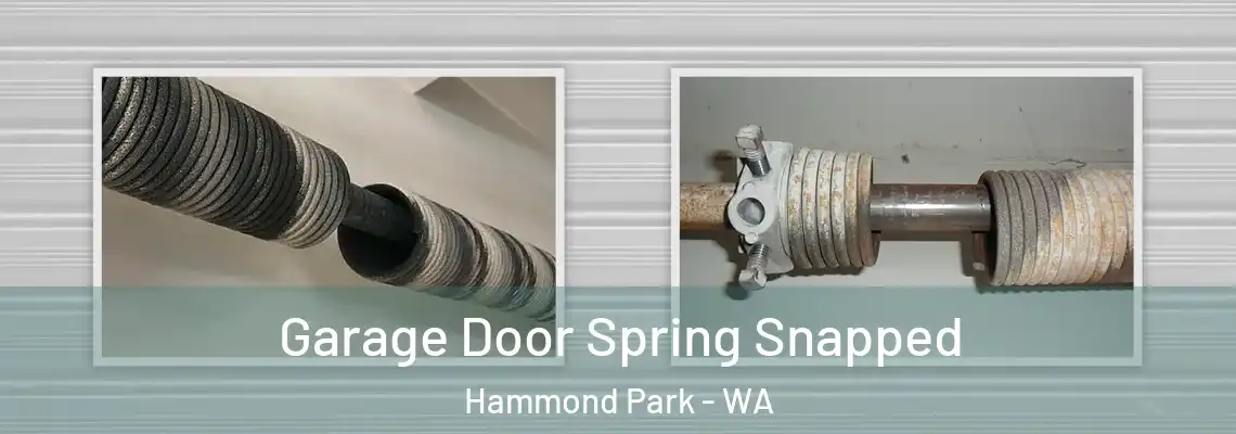 Garage Door Spring Snapped Hammond Park - WA