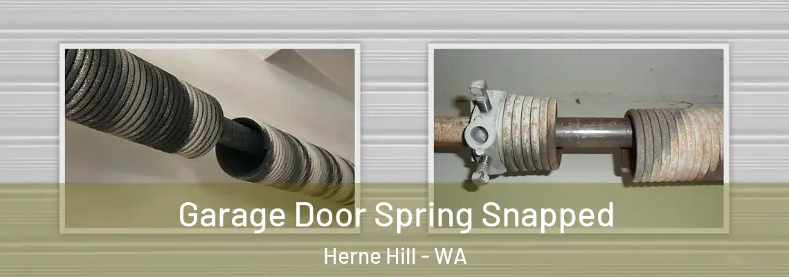 Garage Door Spring Snapped Herne Hill - WA