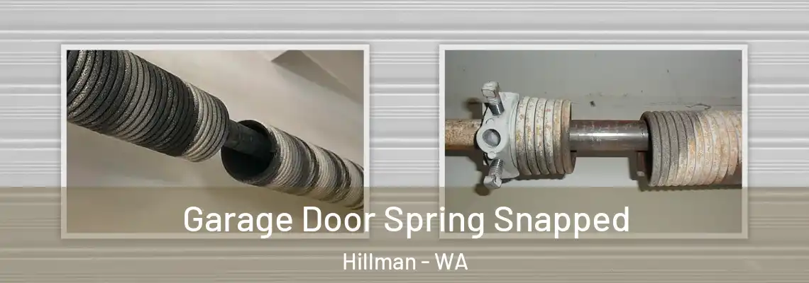 Garage Door Spring Snapped Hillman - WA