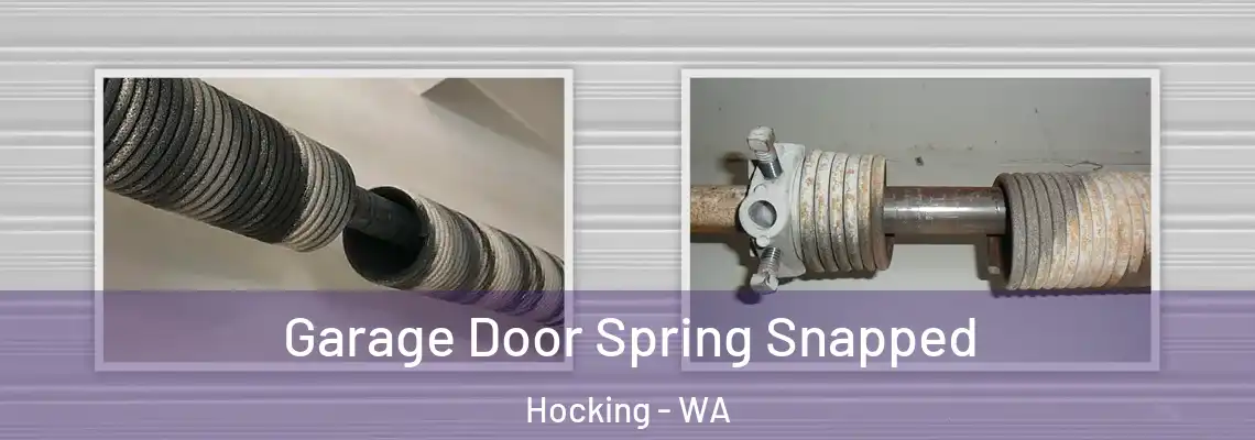 Garage Door Spring Snapped Hocking - WA