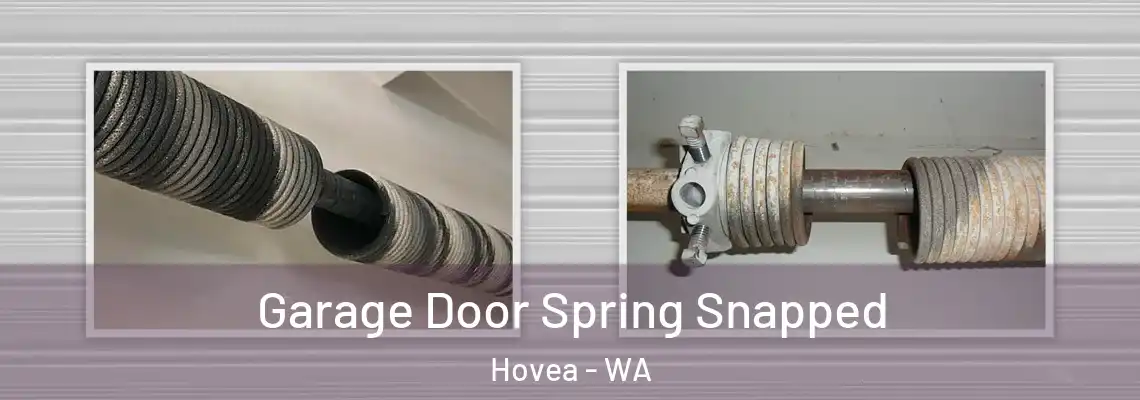  Garage Door Spring Snapped Hovea - WA