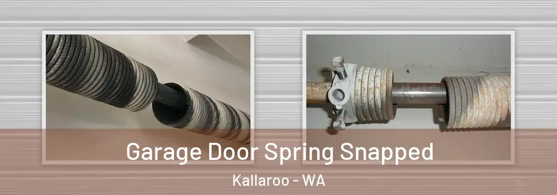 Garage Door Spring Snapped Kallaroo - WA