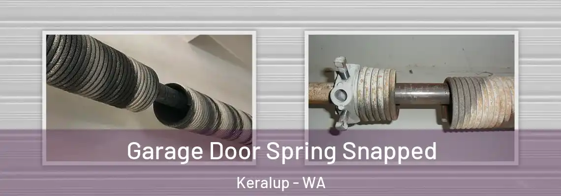 Garage Door Spring Snapped Keralup - WA