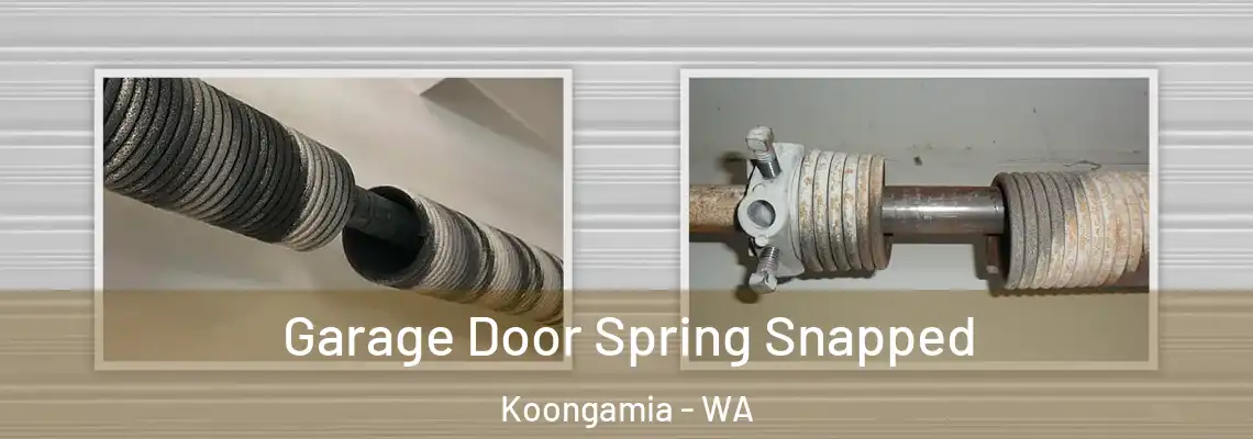 Garage Door Spring Snapped Koongamia - WA