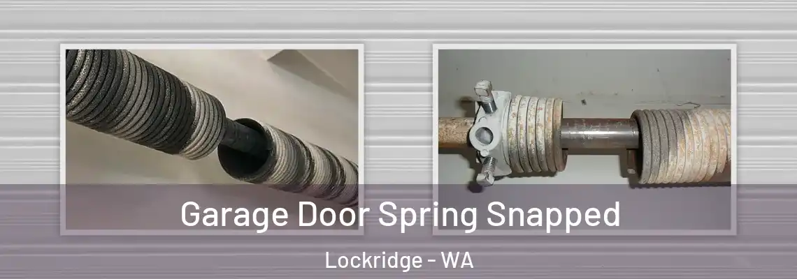 Garage Door Spring Snapped Lockridge - WA