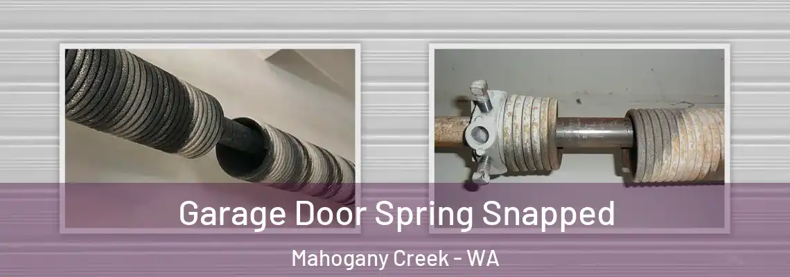 Garage Door Spring Snapped Mahogany Creek - WA