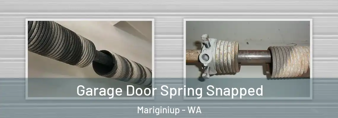 Garage Door Spring Snapped Mariginiup - WA