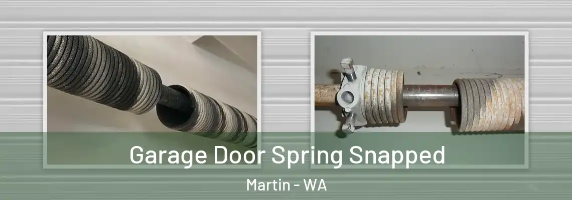 Garage Door Spring Snapped Martin - WA