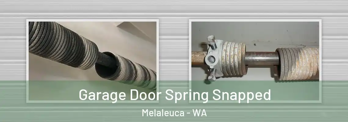 Garage Door Spring Snapped Melaleuca - WA