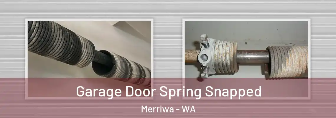  Garage Door Spring Snapped Merriwa - WA
