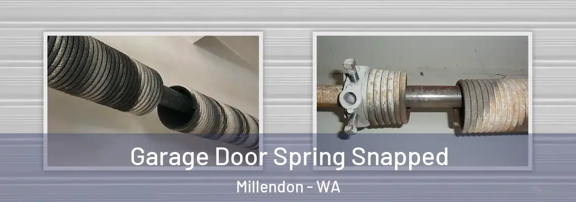 Garage Door Spring Snapped Millendon - WA
