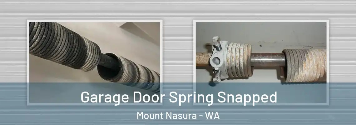 Garage Door Spring Snapped Mount Nasura - WA