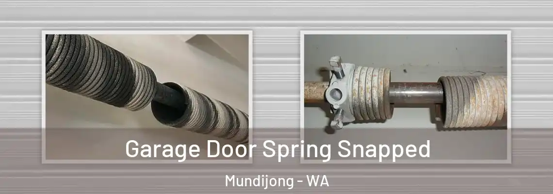  Garage Door Spring Snapped Mundijong - WA