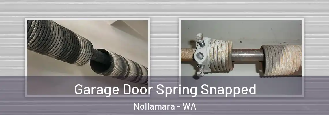 Garage Door Spring Snapped Nollamara - WA
