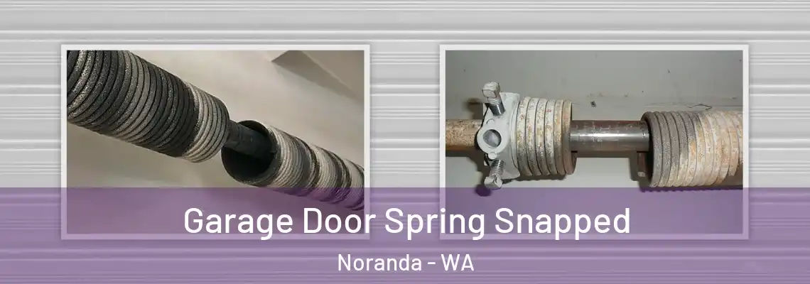 Garage Door Spring Snapped Noranda - WA