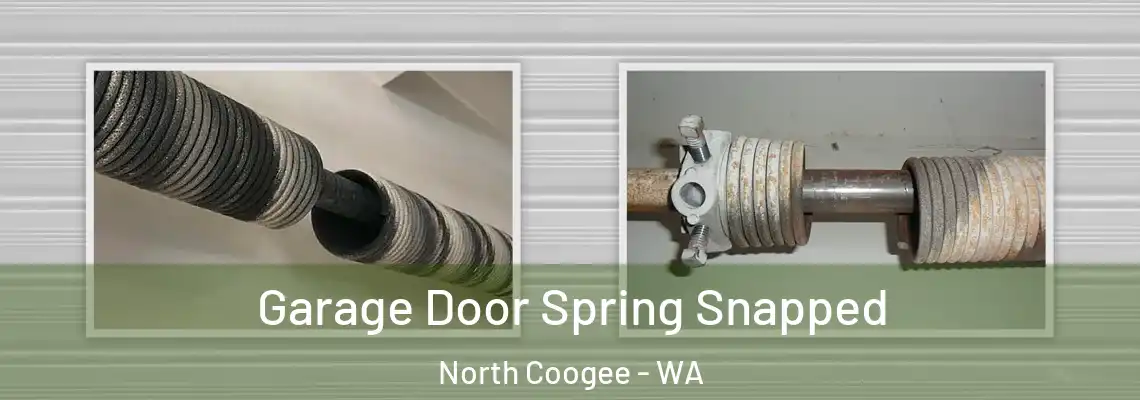 Garage Door Spring Snapped North Coogee - WA