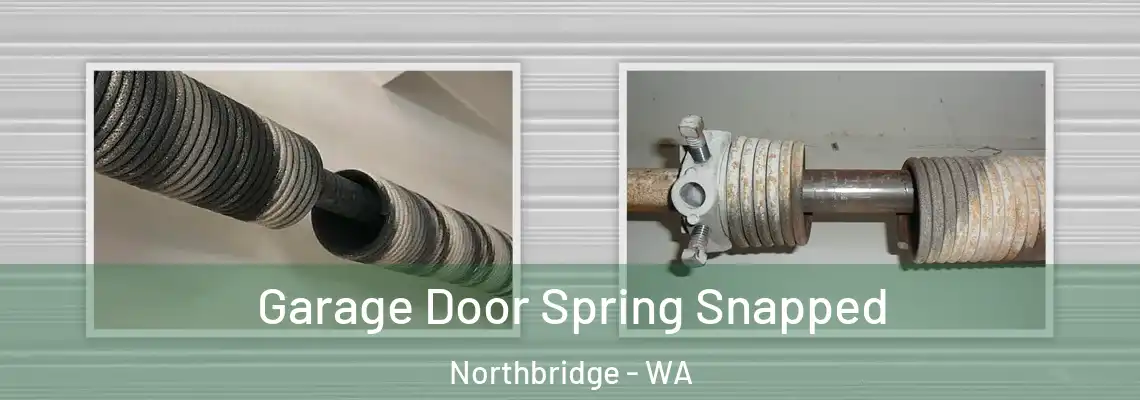 Garage Door Spring Snapped Northbridge - WA